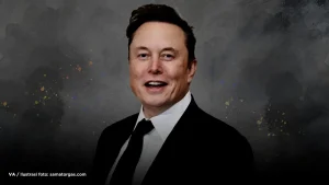 elon mask 33