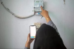 pln